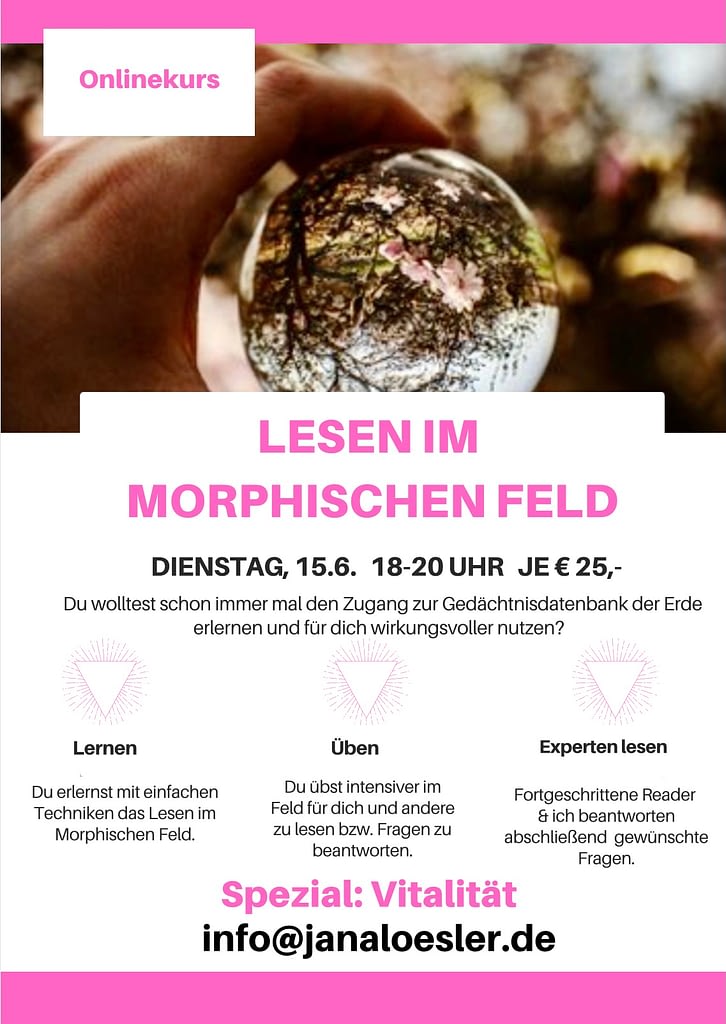 Lesen im morphischen Feld - Jana Lösler